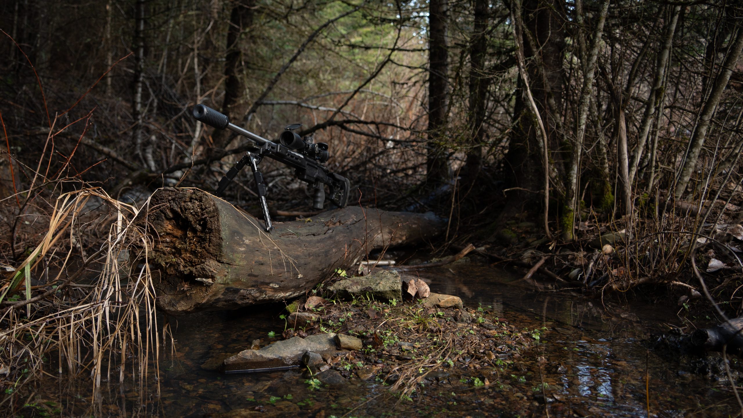 NHS gallery photo DSC03536